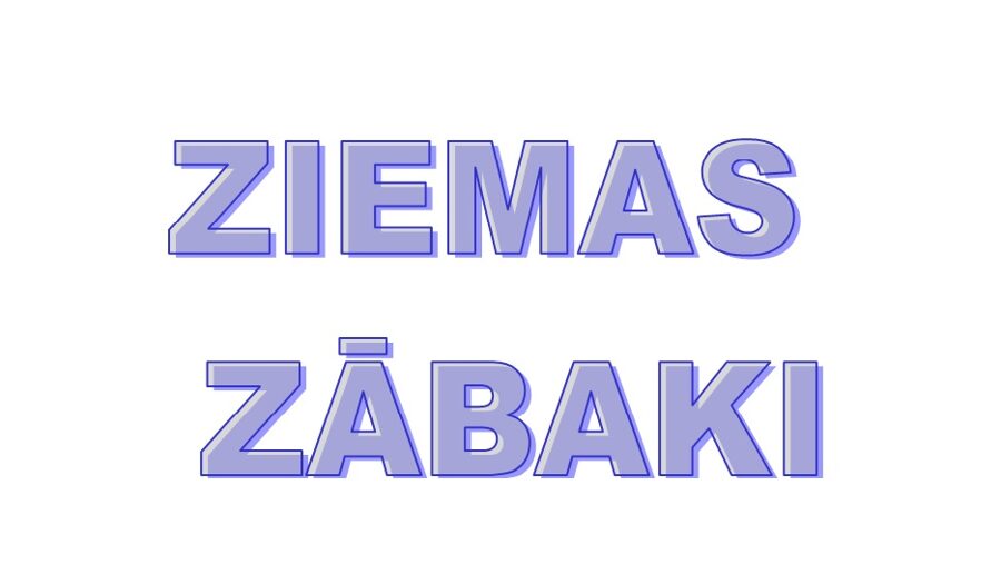 ZIEMAS ZĀBAKI puišiem